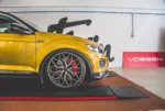 t-roc vossen.jpg