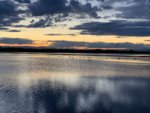 13CF2125-8E11-46CA-A7FE-A7C72706E9C6.jpeg