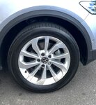 IMG_4876.jpeg